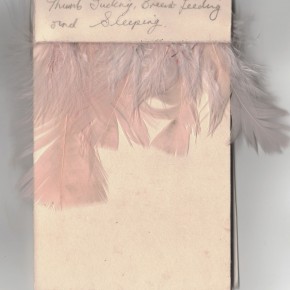 cover, pencil on paper, card, feathers,  14.5cm x 9.5cm, 2009