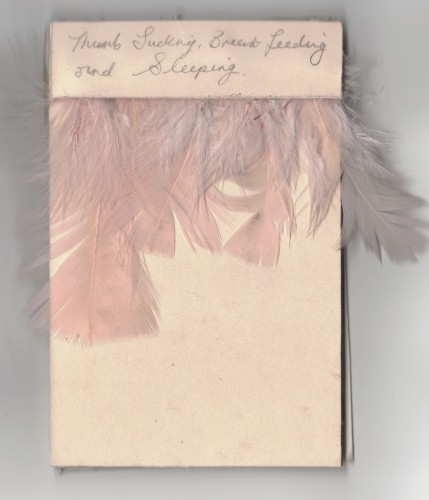 cover, pencil on paper, card, feathers,  14.5cm x 9.5cm, 2009