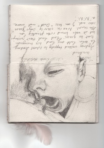 pages seven/eight, pencil on paper, card, feathers,  14.5cm x 9.5cm, 2009