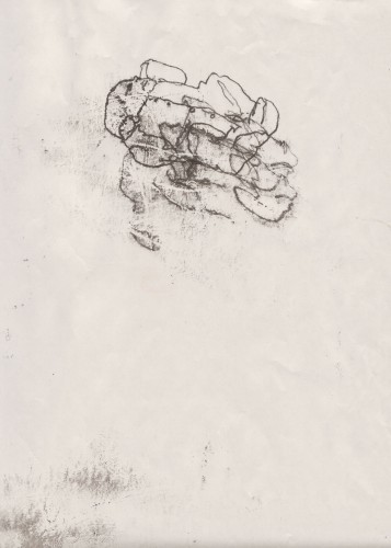 New born: seven, mono print on paper, 2010
