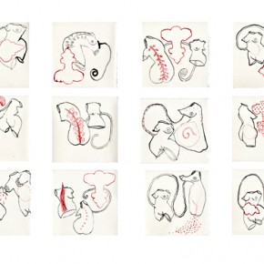 Corpus Luteum Corpus Luteum